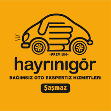 Hayrınıgör Otoekspertiz Logo